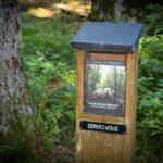 Bois du Thouraud, Maisonnisses (Creuse)