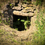 Bois du Thouraud, Maisonnisses (Creuse)