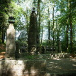 Bois du Thouraud, Maisonnisses (Creuse)