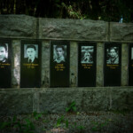 Bois du Thouraud, Maisonnisses (Creuse)